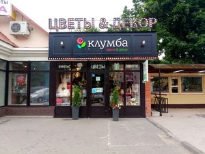 Клумба