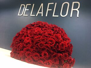 Delaflor