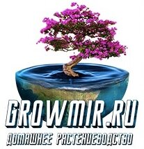 GrowMir