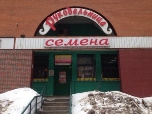 Семена