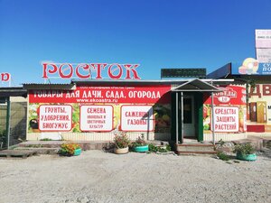 Росток