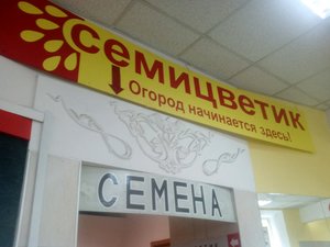 Семицветик