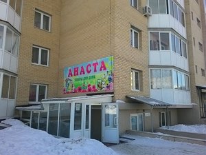 Анаста