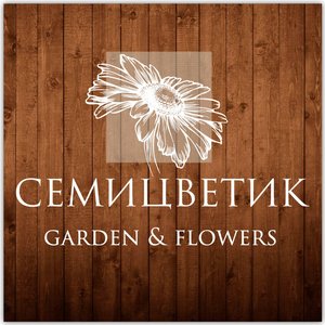 Семицветик