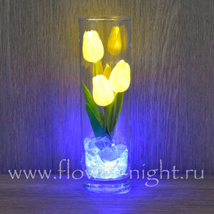 Flower-night.ru