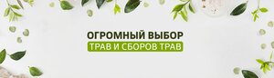 Маркет Трав Екатеринбург