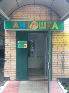 Антошка