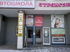 Стрекоза Екатеринбург