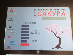 Сакура Нижний Новгород