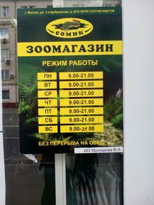 Сомик Москва