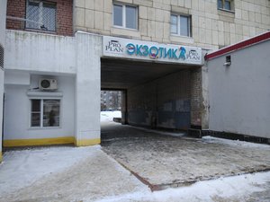 Экзотика