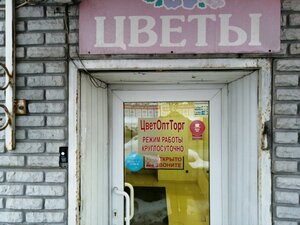 Компания ЦветОптТорг