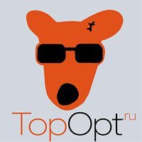 TopOpt