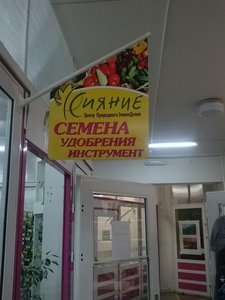 Сияние Набережные Челны