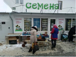 Семена