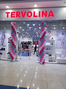 Терволина