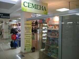 Семена