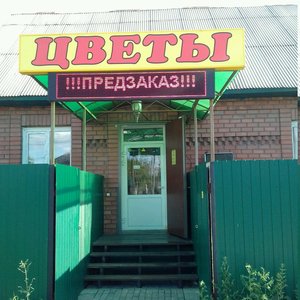 Каприз Челябинск