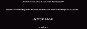 Студия аквадизайна Владимира Ходаковского