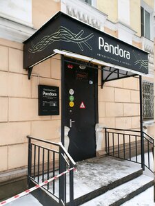 Магазин автоэлектроники Pandora Ярославль