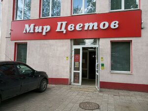 Мир цветов