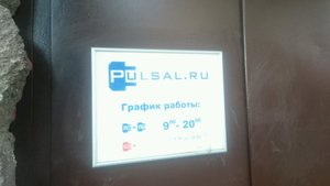 Pulsal.ru Санкт-Петербург