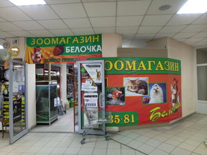 Белочка Саратов