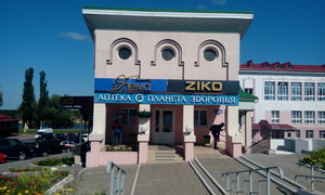 Ziko