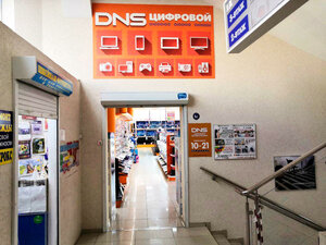 DNS Курск