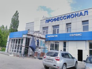 Профессионал