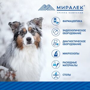 Группа компаний Миралек Москва