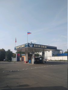 Картекс