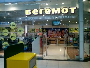 Бегемот