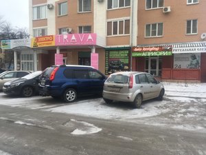 Автоорел