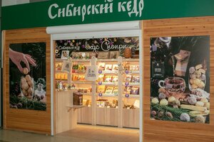 Сибирский кедр