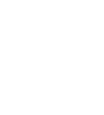 Apple-port